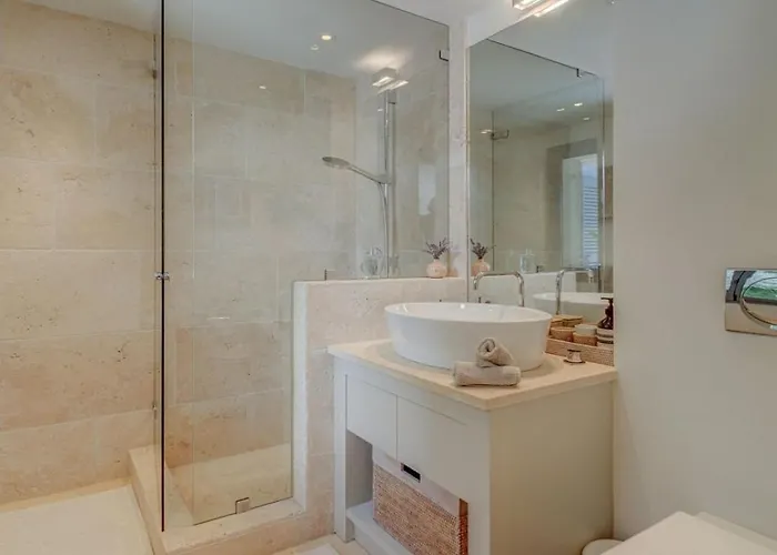 Cyril Magnifique Provencale