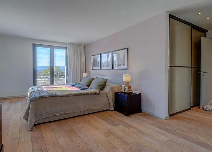 Cyril Magnifique Provencale *