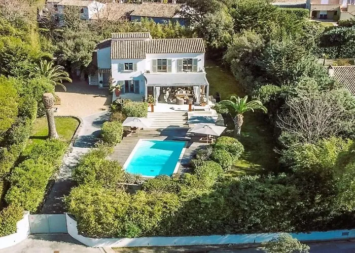 Cyril Magnifique Provencale