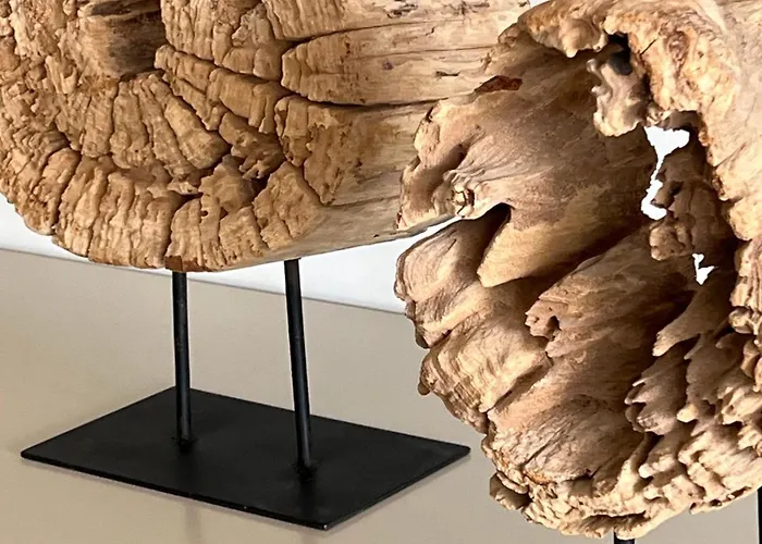 Cyril Magnifique Provencale Lägenhet Saint-Tropez